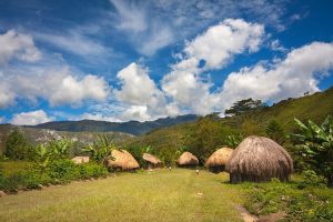 Sejarah Rumah Tradisional Honai Dan Ciri Arsitekturnya