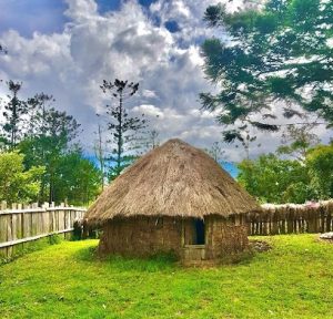 Mengenal Tentang Ciri khas Rumah Honai Di Papua