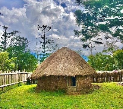 Mengenal Tentang Ciri khas Rumah Honai Di Papua